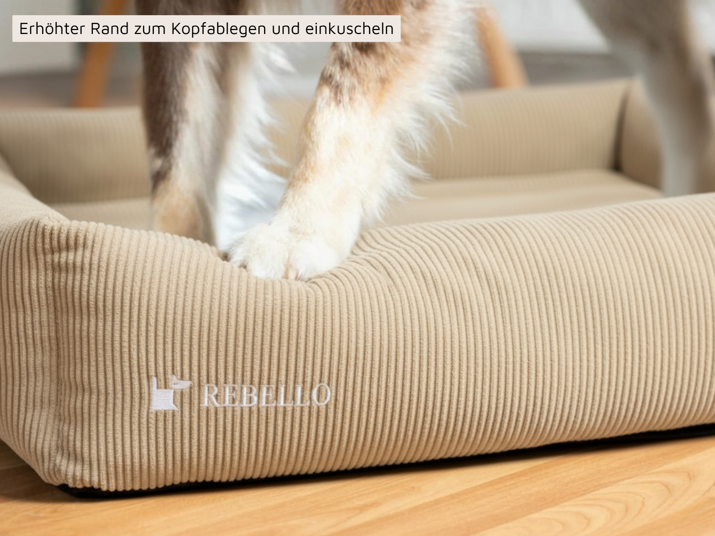 Hundebett - EDEN Kord