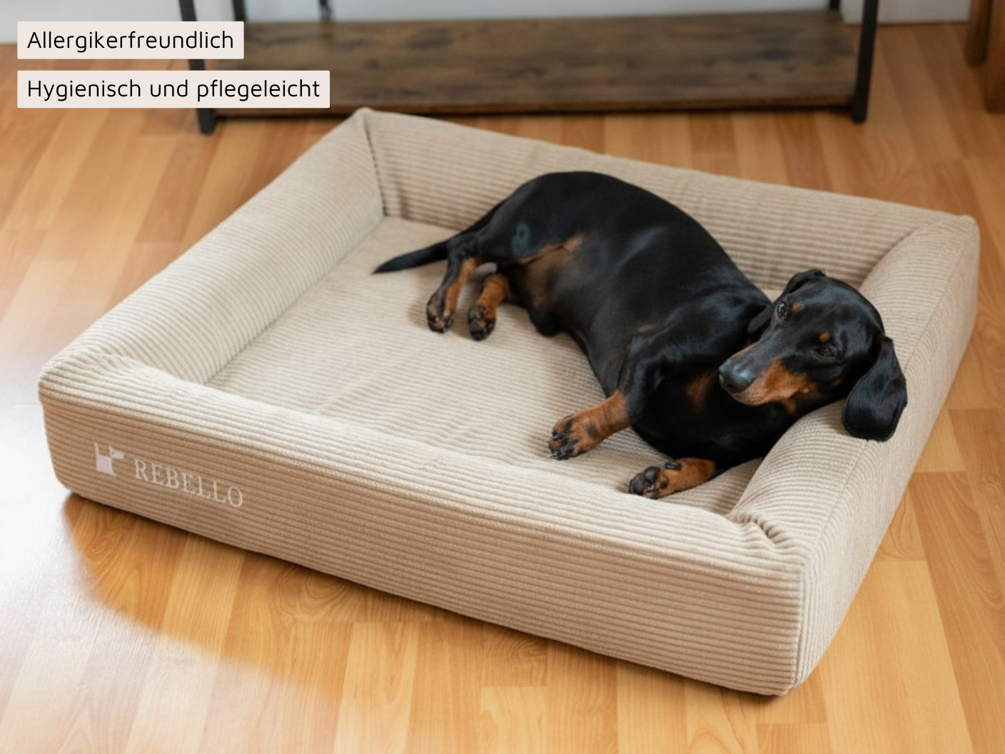 Hundebett - EDEN Kord